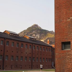 建物の背後に見える山