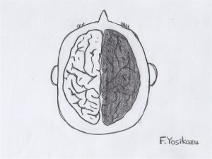 脳が白黒に分かれているイラスト